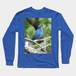 Indigo Bunting Long Sleeve T-Shirt